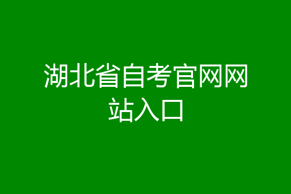 湖北省自考官网网站入口