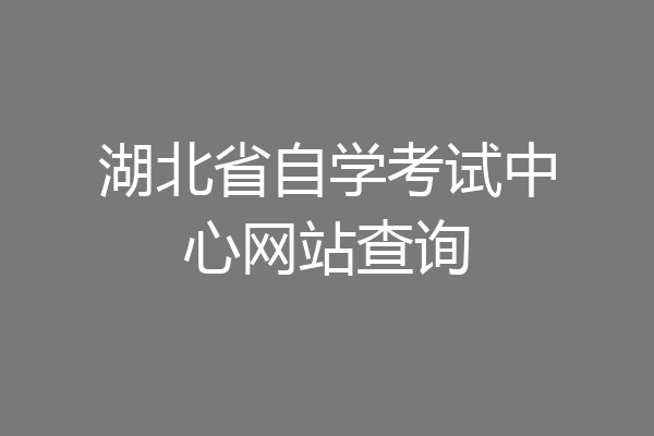 湖北省自学考试中心网站查询