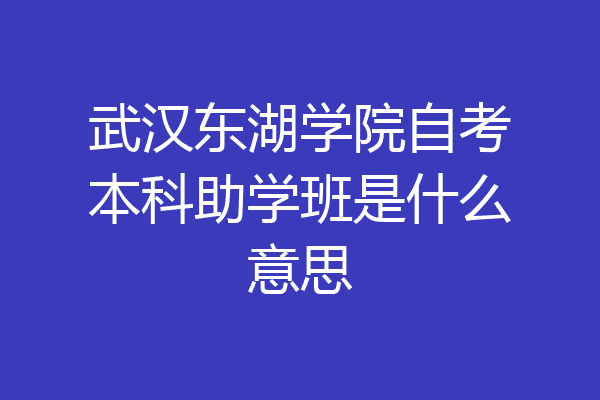 武汉东湖学院自考本科助学班是什么意思