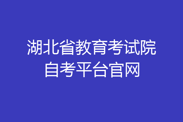 湖北省教育考试院自考平台官网