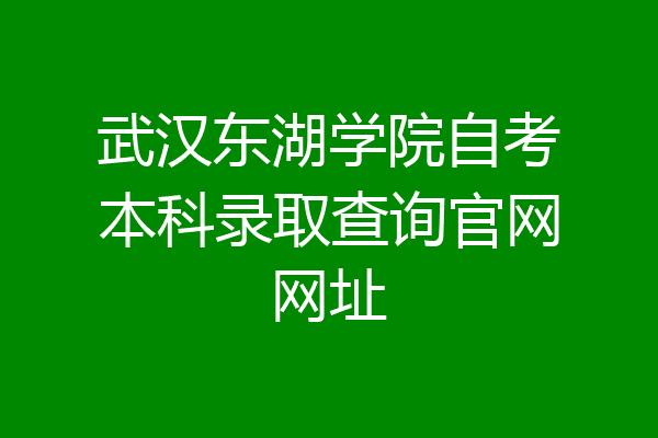 武汉东湖学院自考本科录取查询官网网址
