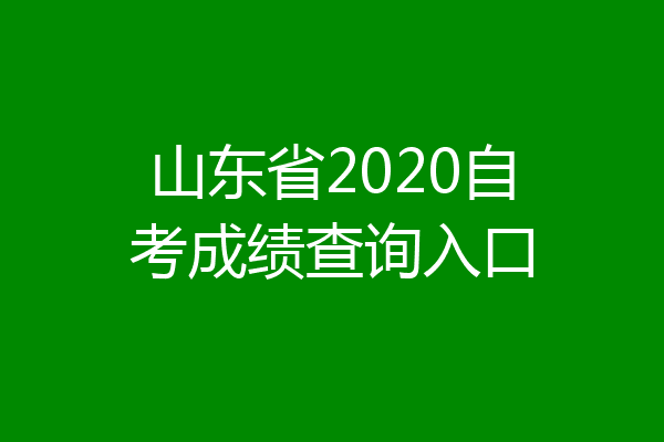 山东省2020自考成绩查询入口