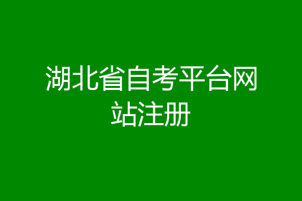 湖北省自考平台网站注册
