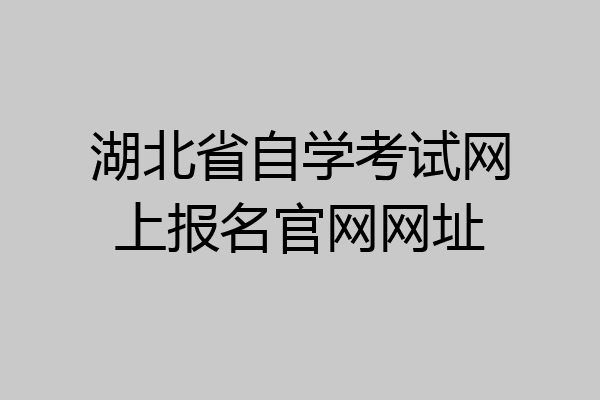 湖北省自学考试网上报名官网网址