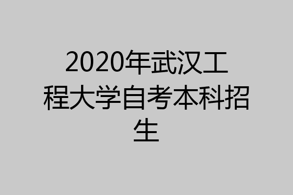 2020年武汉工程大学自考本科招生