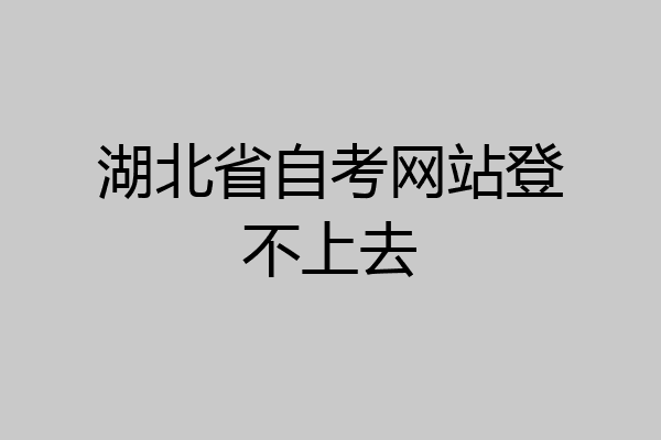湖北省自考网站登不上去
