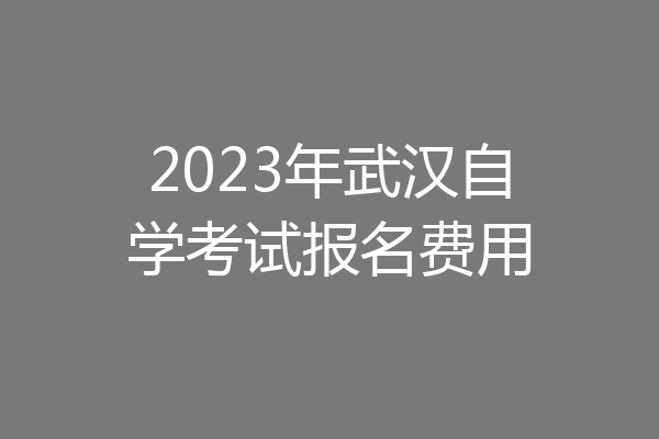 2023年武汉自学考试报名费用