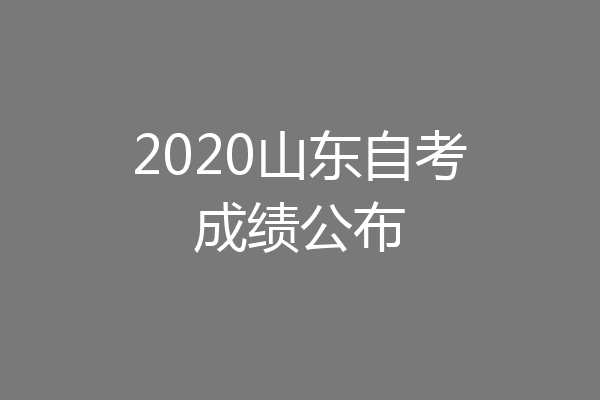 2020山东自考成绩公布