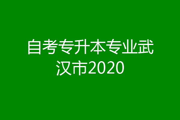 自考专升本专业武汉市2020