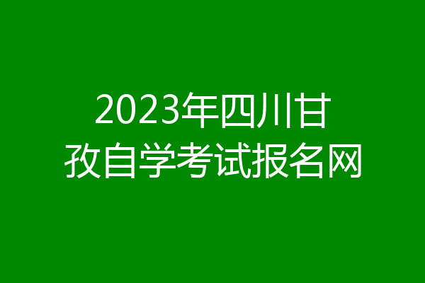 2023年四川甘孜自学考试报名网