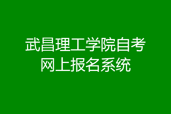 武昌理工学院自考网上报名系统