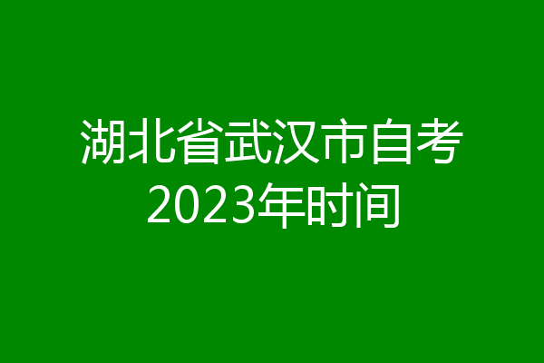 湖北省武汉市自考2023年时间