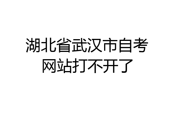 湖北省武汉市自考网站打不开了