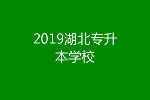 2019湖北专升本学校