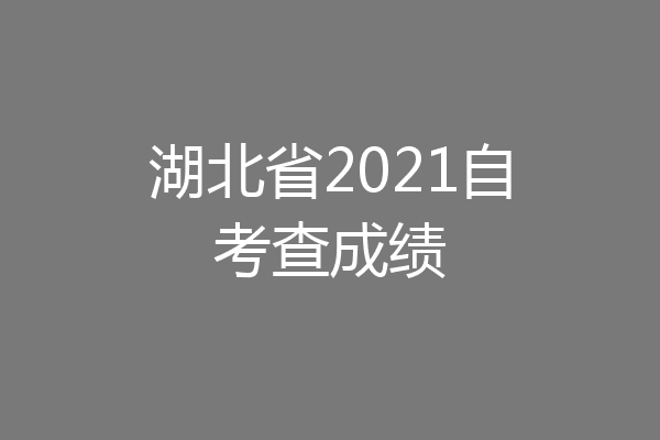 湖北省2021自考查成绩