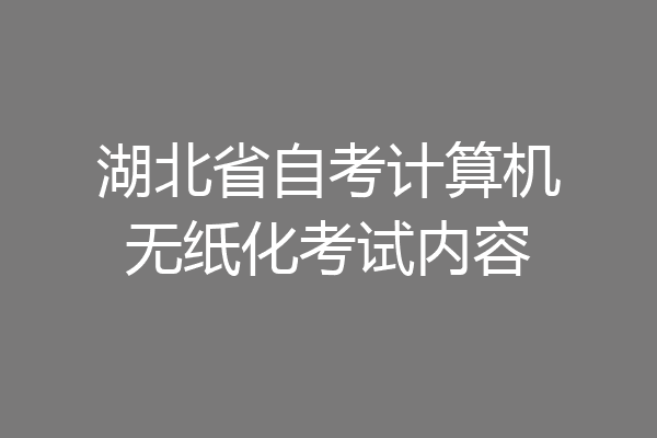 湖北省自考计算机无纸化考试内容