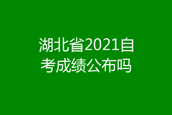 湖北省2021自考成绩公布吗