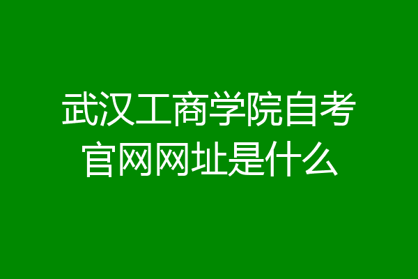 武汉工商学院自考官网网址是什么