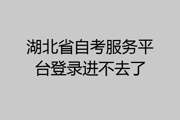 湖北省自考服务平台登录进不去了