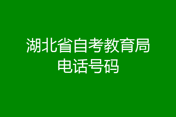 湖北省自考教育局电话号码