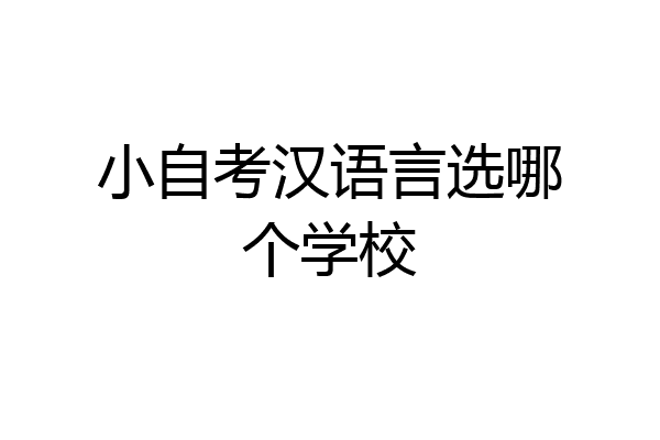 小自考汉语言选哪个学校