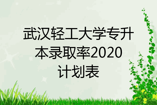 武漢輕工大學專升本錄取率2020計劃表