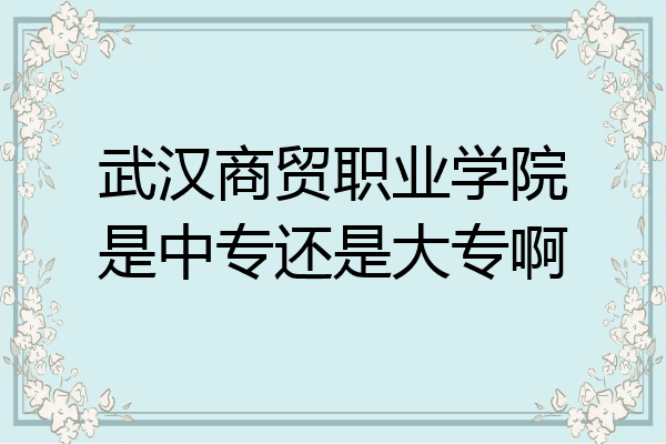 武漢商貿職業學院是中專還是大專啊