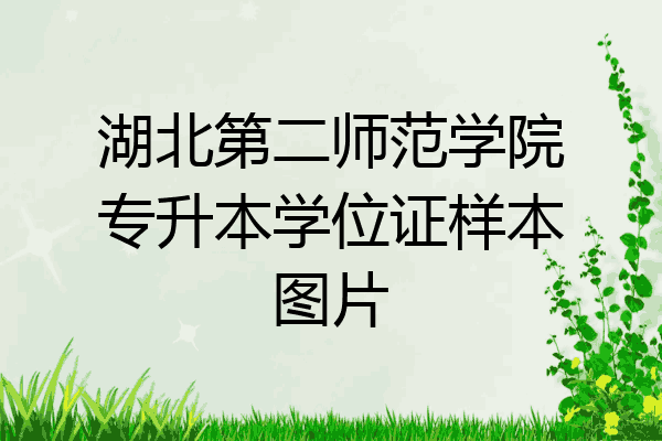 師范招生湖北學院網上報名_湖北師范官網招生辦_湖北師范學院招生網