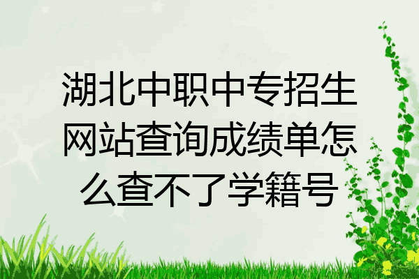 湖北中職中專招生網站查詢成績單怎麼查不了學籍號