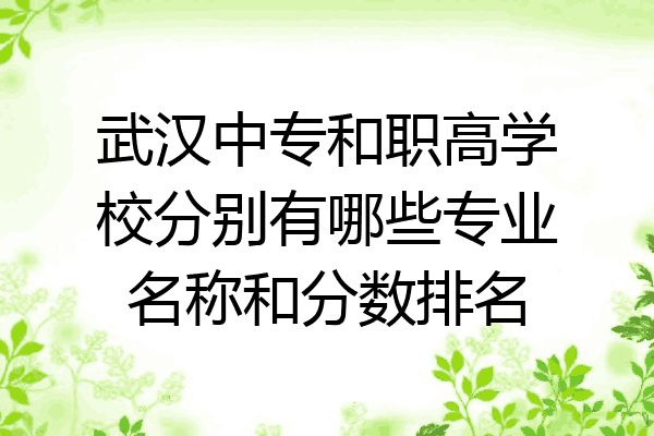 武漢中專和職高學校分別有哪些專業名稱和分數排名