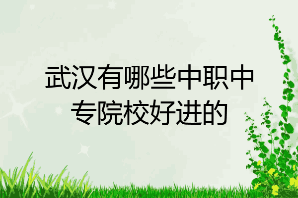 武漢有哪些中職中專院校好進的