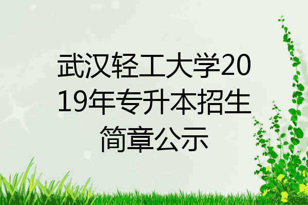 武漢輕工大學2019年專升本招生簡章公示