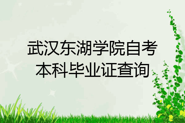 武漢東湖學院自考本科畢業證查詢