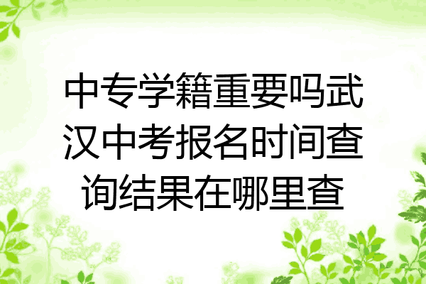 中專學籍重要嗎武漢中考報名時間查詢結果在哪裡查