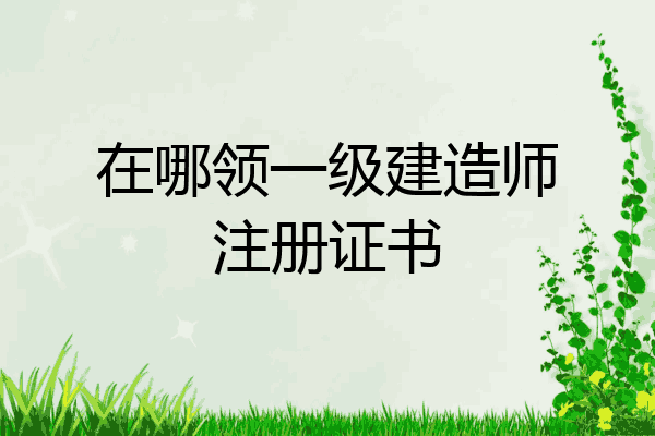 新疆一级建造师_2级建造师视频教程_2014南京考试网2级建造师准考证打印地址