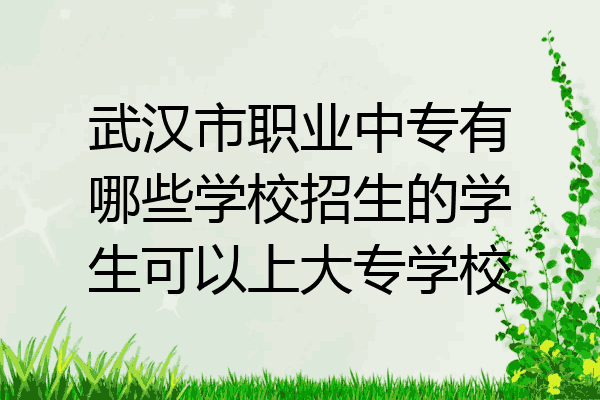 武漢市職業中專有哪些學校招生的學生可以上大專學校