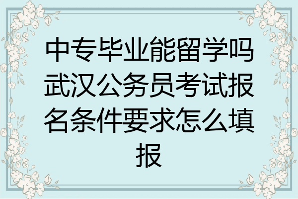 中專畢業能留學嗎武漢公務員考試報名條件要求怎麼填報