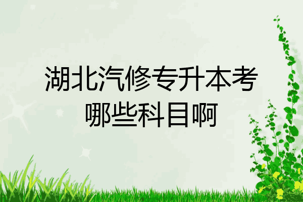 湖北汽修專升本考哪些科目啊