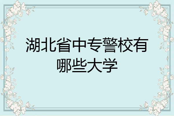 一所是湖北警官學院,屬於公安院校,本科,提前批公安專業入警率很高