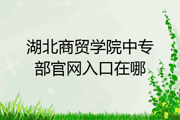 一,湖北商貿學院校本部地址:湖北省武漢市洪山區雄楚大街634號(原湖北