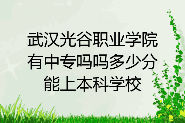 武漢光谷職業學院有中專嗎嗎多少分能上本科學校