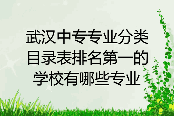 动漫专业学校排名(动画专业毕业都干嘛去了)