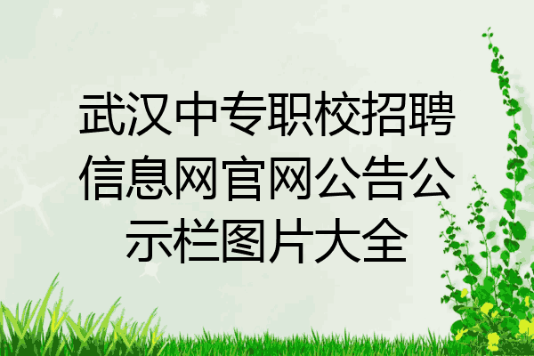 武漢中專職校招聘信息網官網公告公示欄圖片大全