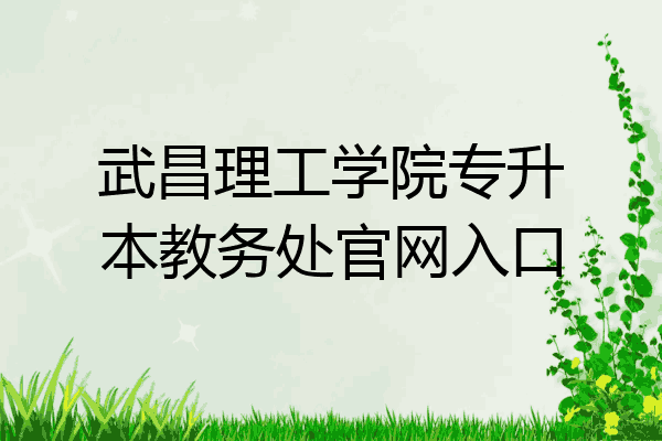 武昌理工学院专升本教务处官网入口