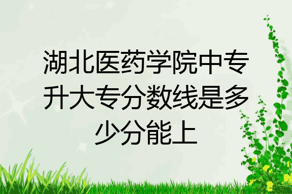 湖北醫藥學院中專升大專分數線是多少分能上