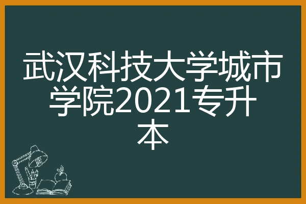 武汉科技大学城市学院2021专升本