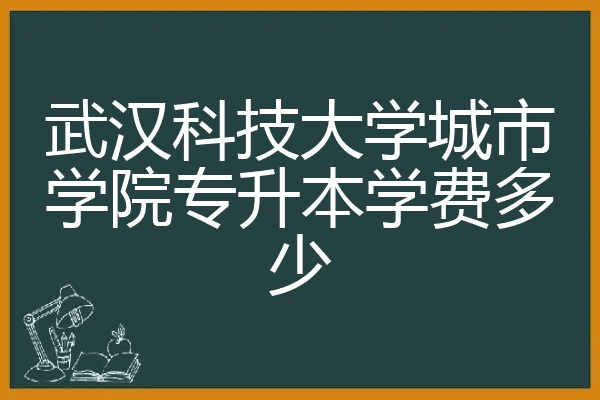 武汉科技大学城市学院专升本学费多少