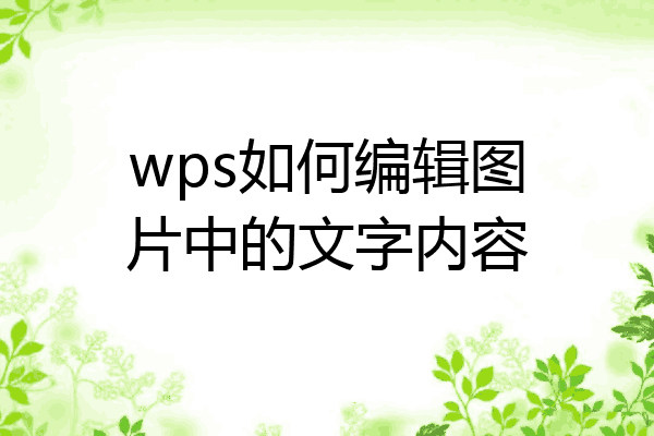 wps图片编辑文字图片