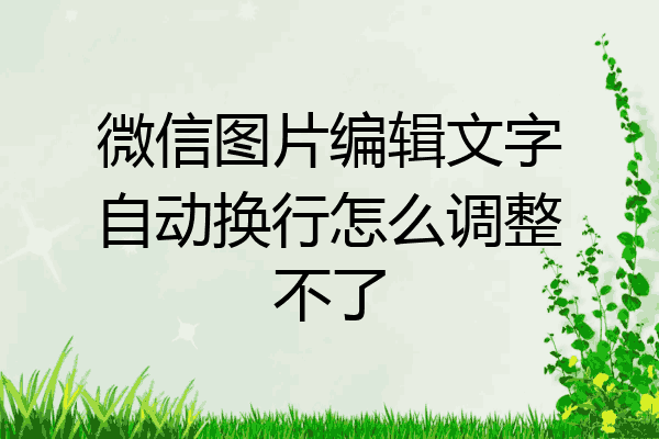 微信图片编辑文字自动换行怎么调整不了