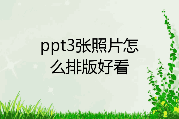 ppt3张图片怎么排版好看